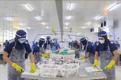 Workers at Cuu Long Fish JSC in An Giang province (Photo: VNA)