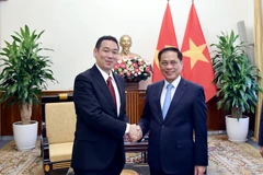 Deputy Prime Minister and Minister of Foreign Affairs Bui Thanh Son (R) and his Japanese guest Tanaka Yu (Photo: Ministry of Foreign Affairs)