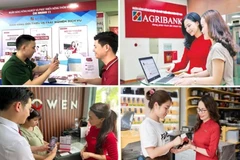 Green finance fuels Vietnam’s agricultural transformation