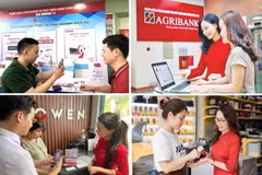 Green finance fuels Vietnam’s agricultural transformation
