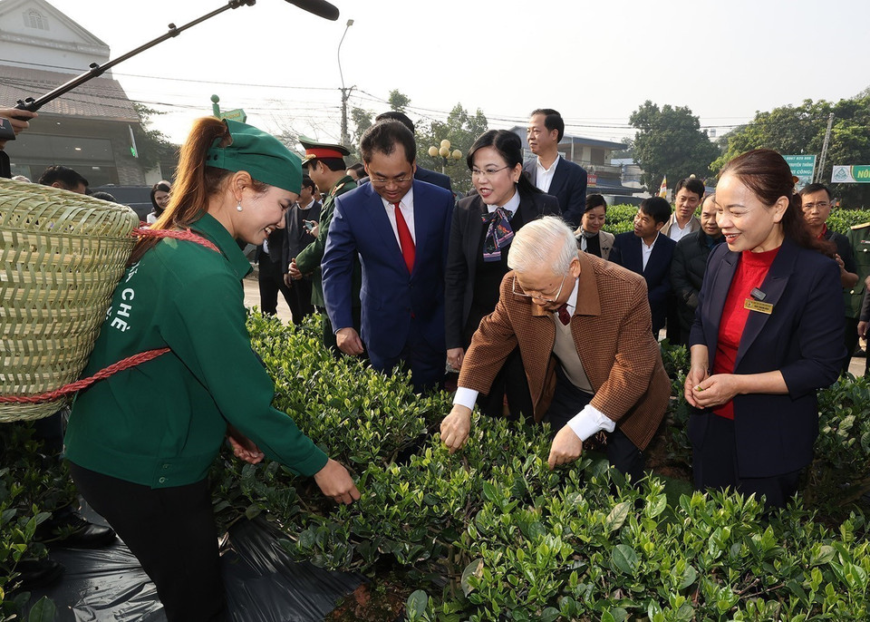General Secretary Nguyen Phu Trong visits the tea orchard of Hao Dat Cooperative, Thai Nguyen city in the northern province of Thai Nguyen on January 10, 2023. (Photo: VNA)