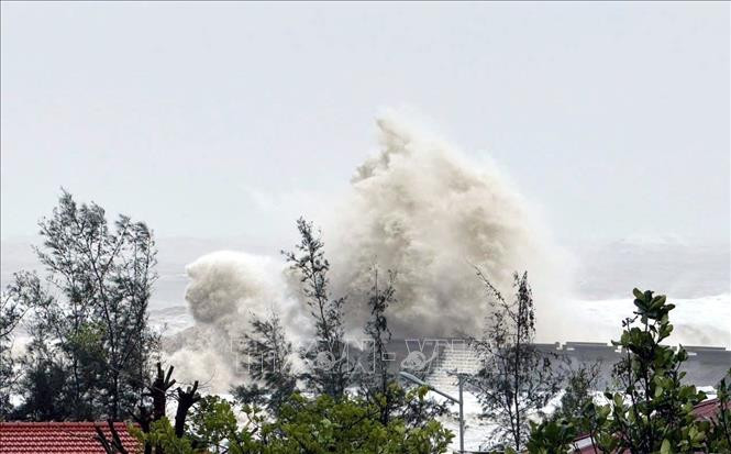 The typhoon hits Tran island, Thanh Lam commune, Co To island district, northern province of Quang Ninh. (Photo: VNA)