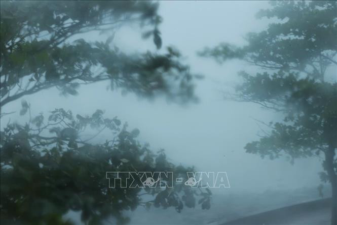 The typhoon made landfall in Do Son town, the northern city of Hai Phong, with winds of level 16-17, causing powerful waves (photo taken at 1:45 PM). (Photo: VNA)