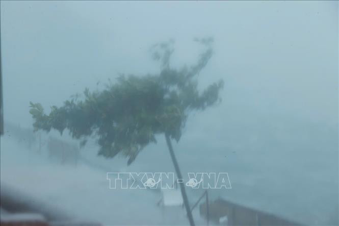 The typhoon made landfall in Do Son town, the northern city of Hai Phong, with winds of level 16-17, causing powerful waves (photo taken at 1:45 PM). (Photo: VNA)