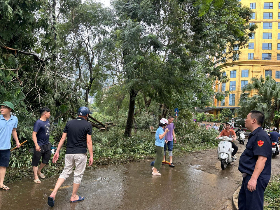 Giang Vo Secondary School and the People's Committee of Giang Vo Ward join hands to clean up the area on Tran Huy Lieu Street. (Photo: Tin Tuc newspaper)