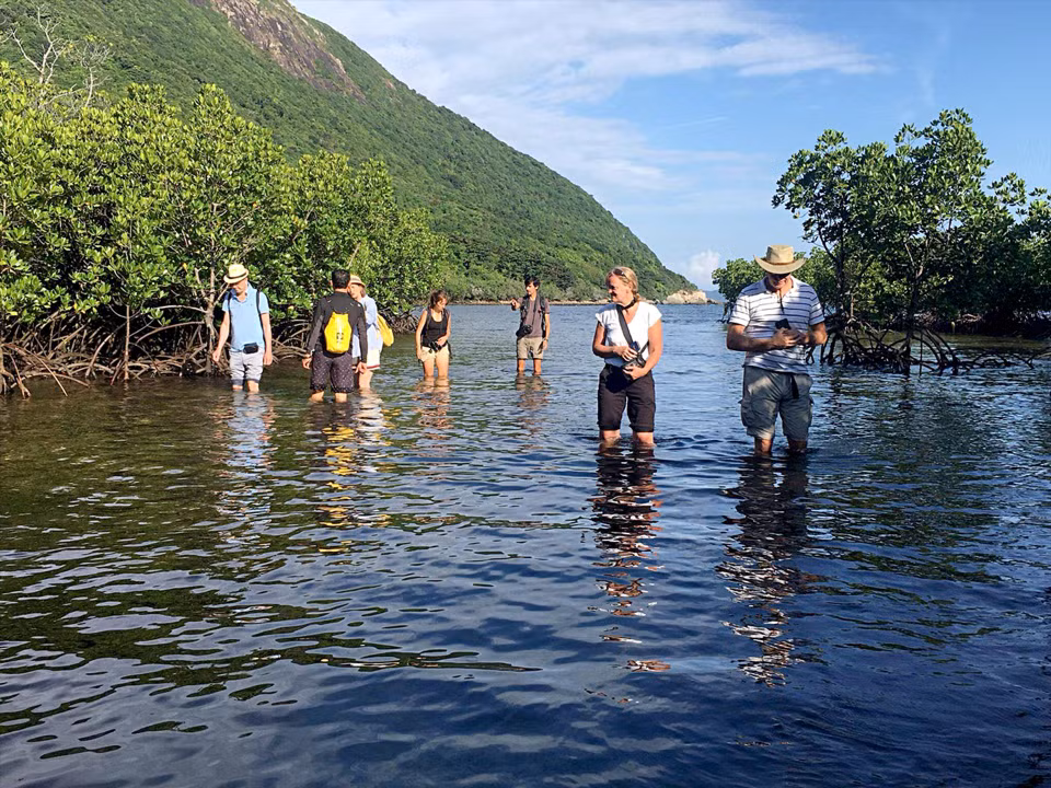 Foreign tourists explore Con Dao National Park. (Photo: Con Dao National Park archive)