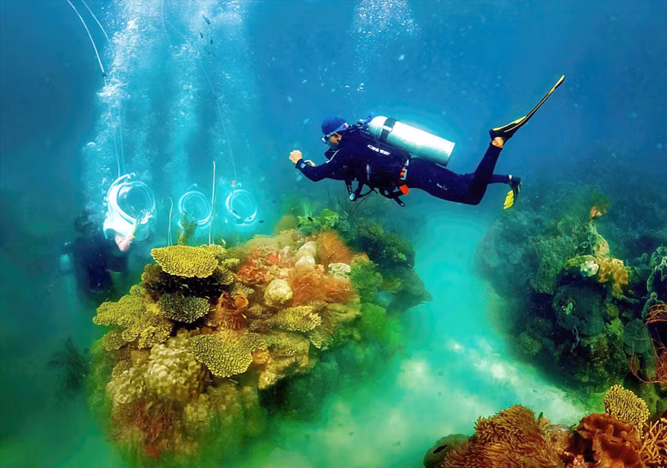 The vibrant beauty of various coral species and schools of fish swimming gracefully under the water at Seaworld Coral Park. (Photo: VNP/VNA)