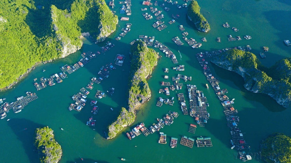 In 2023, Ha Long Bay – Cat Ba Archipelago (in Quang Ninh province and Hai Phong city) was recognised as a world natural heritage site. In the photo: The breathtaking view of Lan Ha Bay, located east of Cat Ba Island, captured from above. (Photo: VNA)