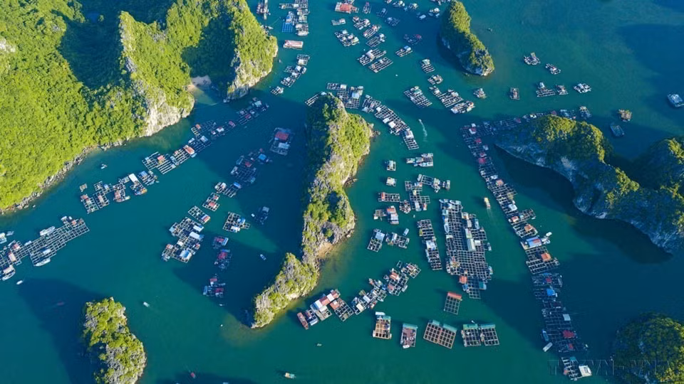 In 2023, Ha Long Bay – Cat Ba Archipelago (in Quang Ninh province and Hai Phong city) was recognised as a world natural heritage site. In the photo: The breathtaking view of Lan Ha Bay, located east of Cat Ba Island, captured from above. (Photo: VNA)