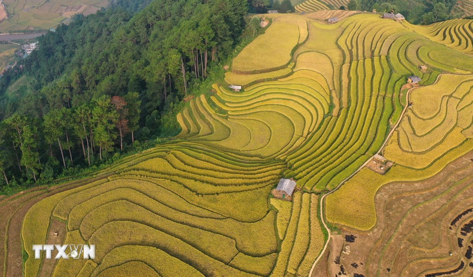 In 2019, the terraced rice fields of Mu Cang Chai were ranked as a National Special Heritage Site. The area covers more than 800ha of terraced fields, mostly in the communes of La Pan Tan, Che Chu Nha, De Xu Phinh, Kim Noi, Mo De and Lao Chai. (Photo: VNA)