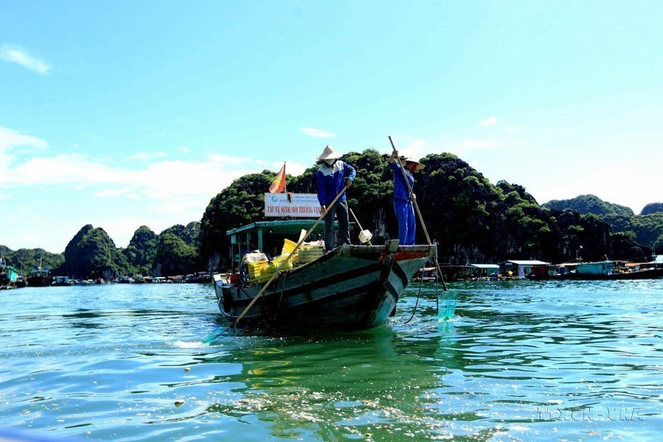 Workers from the Bay Management Board on the Cat Ba Archipelago collect floating debris on the bay surface. (Photo: VNA)