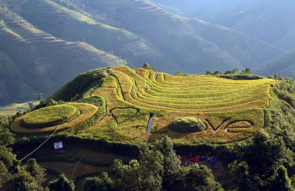 Many Hmong households in Xim Vang commune, Bac Yen district, have designed and shaped their rice terraces to attract tourists. (Photo: VNA)