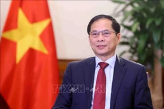 Vietnamese Deputy Prime Minister and Minister of Foreign Affairs Bui Thanh Son. (Photo: VNA)