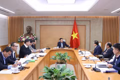 Deputy Prime Minister Tran Hong Ha speaks at the meeting. (Photo: VNA)