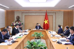 Deputy Prime Minister Tran Hong Ha speaks at the meeting. (Photo: VNA)