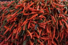 FAO helps Laos push chilli exports