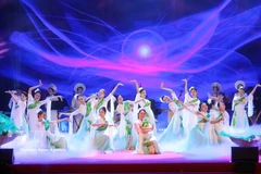 A performance at the art programme (Photo: VNA)