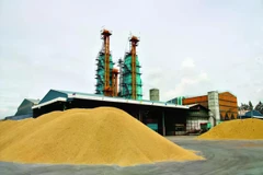 Given continued volatility in the global rice market, the Thai cabinet approved extending interest compensation for stockpiling paddy rice for another six months. (Photo: Bangkok Post)