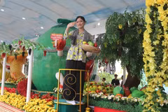 A parade float showcases a wide variety of Mekong Delta fruits at the 22nd Southern Fruit Festival in Ho Chi Minh City on May 31. (Photo: VNA)