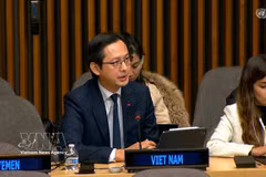 Ambassador Do Hung Viet, Vietnam’s Permanent Representative to the United Nations, speaks at the meeting. (Photo: VNA)