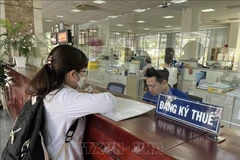 A resident conducts transactions at the Ho Chi Minh City tax department (Photo: VNA)