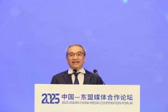 Deputy Minister of Culture, Sports and Tourism Phan Tam speaks at a plenary session on digital transformation and AI in journalism, held as part of the annual ASEAN-China media cooperation forum in Henan province, China, on May 25. (Photo: VNA)
