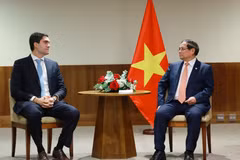 Prime Minister Pham Minh Chinh meets a representative of Vale, a multinational group specialising in metals, mining, and logistics, in Brazil's Rio de Janeiro city on July 7 (local time). (Photo: VNA)