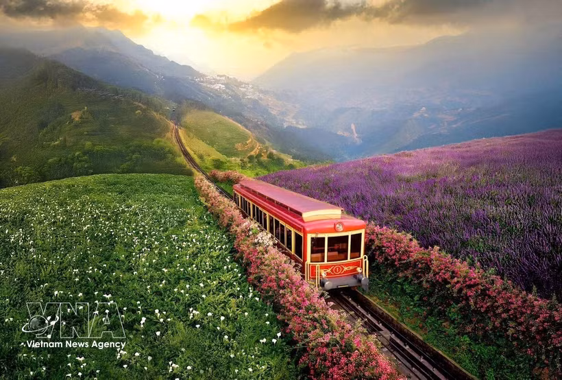 The Muong Hoa mountain-climbing train enhances green tourism experiences for visitors to Sa Pa. (Photo: VNA) 