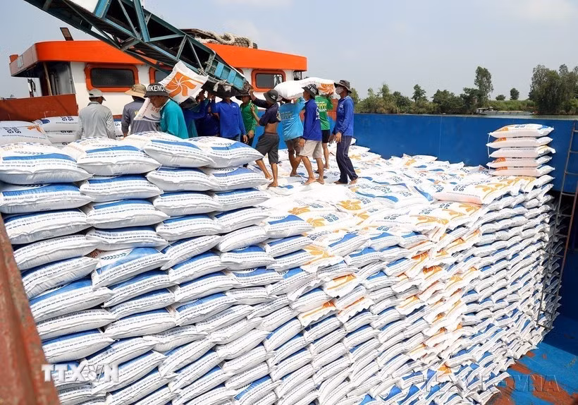 Vietnam's rice exports rise 5% in volume in first two months of 2026. (Photo: VNA)