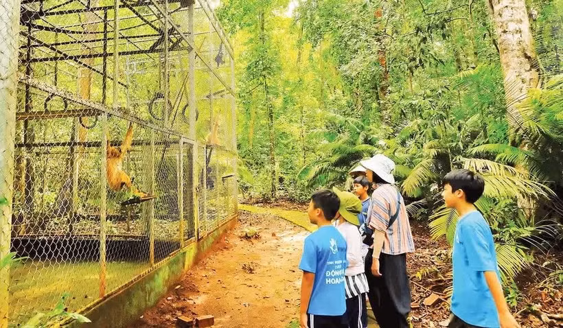 Young volunteers help care for rescued wildlife at Bu Gia Map National Park. (Photo: Nhan Dan)