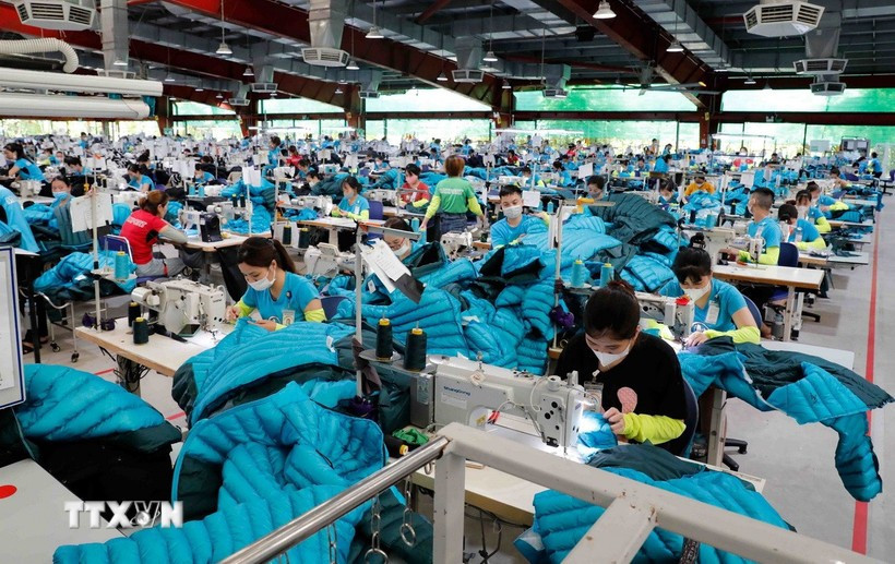 Manufacturing garments for export to the US and EU markets at Maxport Garment Company. (Photo: VNA) 