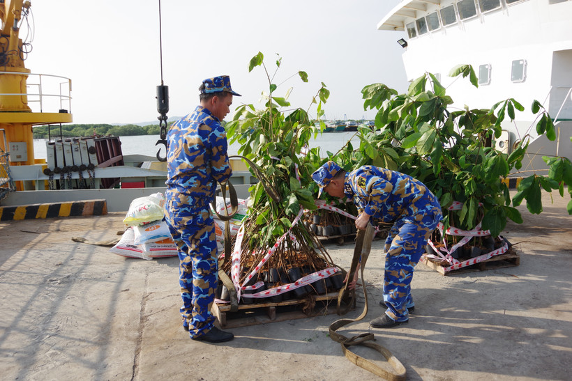 Saplings and supplies loaded onto Ship 638 for “Greening Truong Sa” programme (Photo: VNA) 