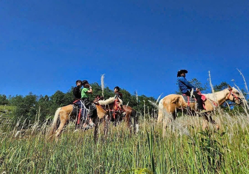 Horseback trekking launched at Vietnam’s northernmost point (Photo: VNA) 