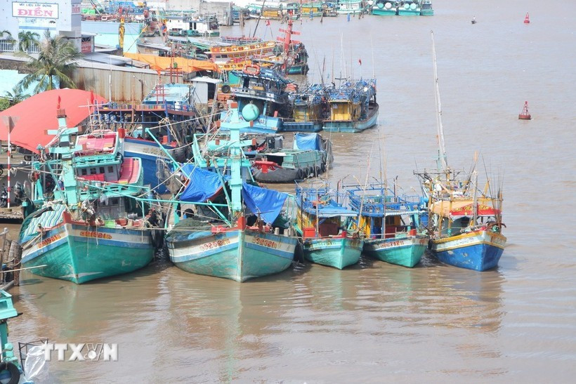 Vietnam tightens monitoring of fishing vessels to tackle IUU violations (Photo: VNA)
