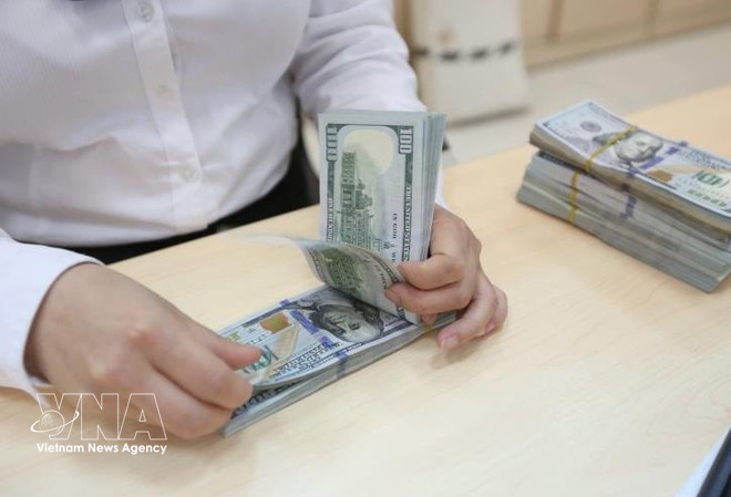 Illustrative Image (Photo: VNA)