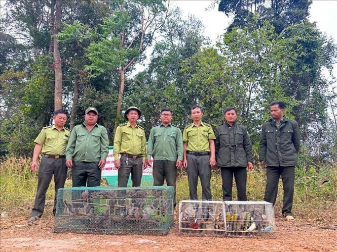 Lam Dong releases hundreds of wild animals into the wild. (Photo: VNA)