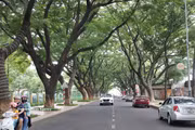 Buon Ma Thuot, a city beneath ancient trees
