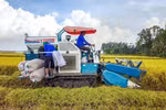 Conference looks to lure hi-tech investment in low-emission rice cultivation