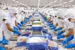 The agro-forestry-fishery sector accounts for 11.3% of GDP. (Photo: VNA)