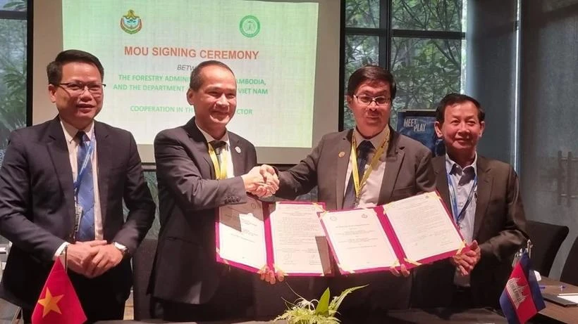 Vietnam, Cambodia boost forestry cooperation (Photo: VNA)