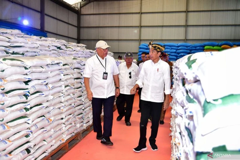 President Joko Widodo (right) during his visit to the Bulog warehouse in Muna district. (Photo: en.antaranews.com) 