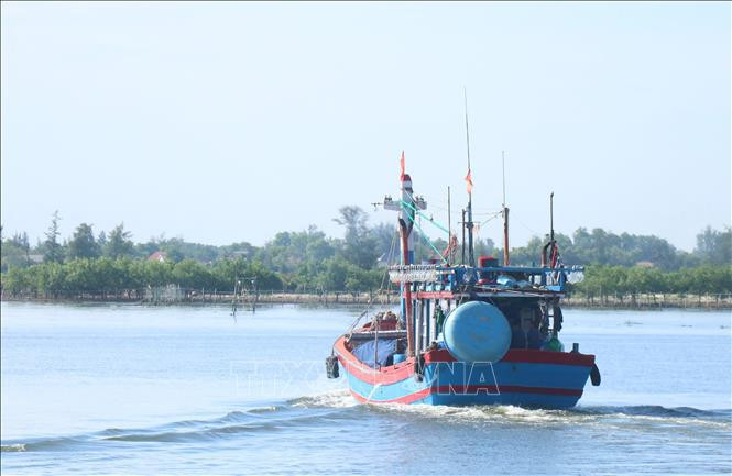 Quang Tri intensifies measures to combat nearshore finishing violations (Photo: VNA)