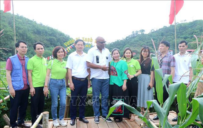 The FAO delegation visits an agricultural model in Bac Kan province. (Photo: VNA)