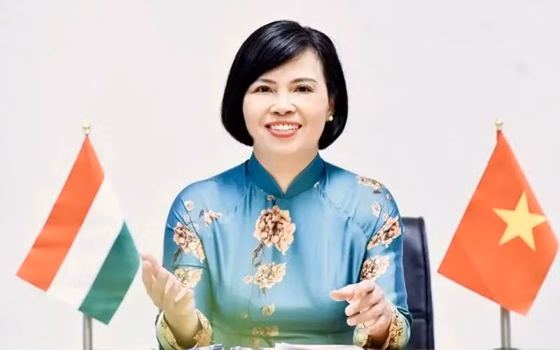Vietnamese Ambassador to Hungary and Croatia Nguyen Thi Bich Thao (Photo: VNA)