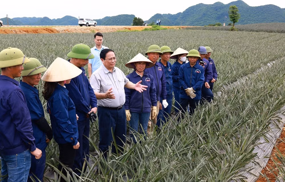 xuat-khau-6.jpg