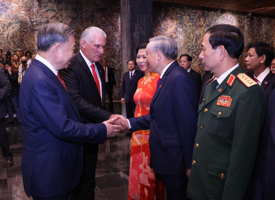 President To Lam introduces members of the high-level Vietnamese delegation to First Secretary of the Communist Party of Cuba Central Committee and President of Cuba Miguel Diaz Canel Bermudez. (Photo: VNA)