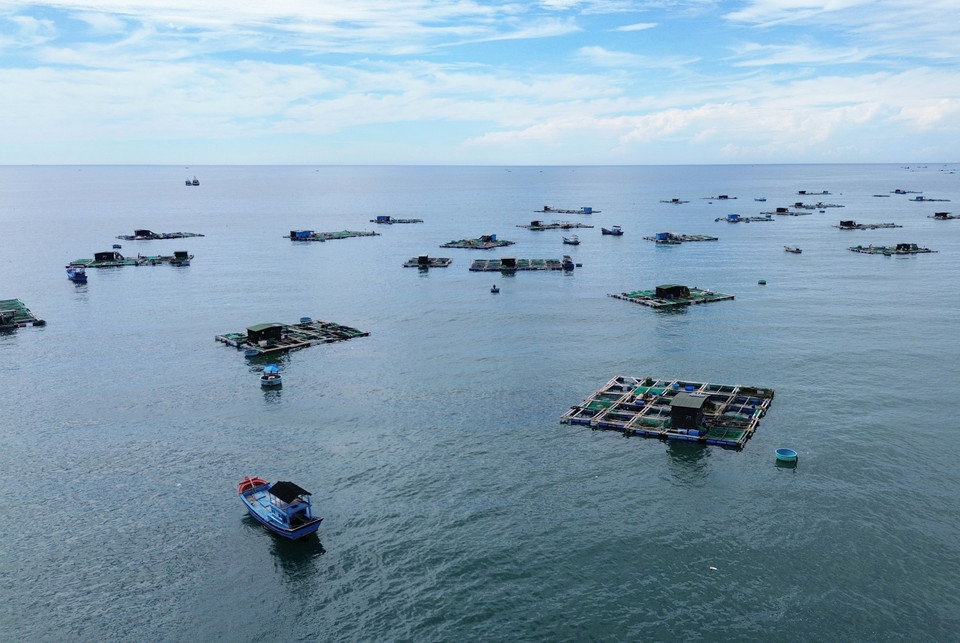 Cage aquaculture in Ninh Thuan province. (Photo: VNA)