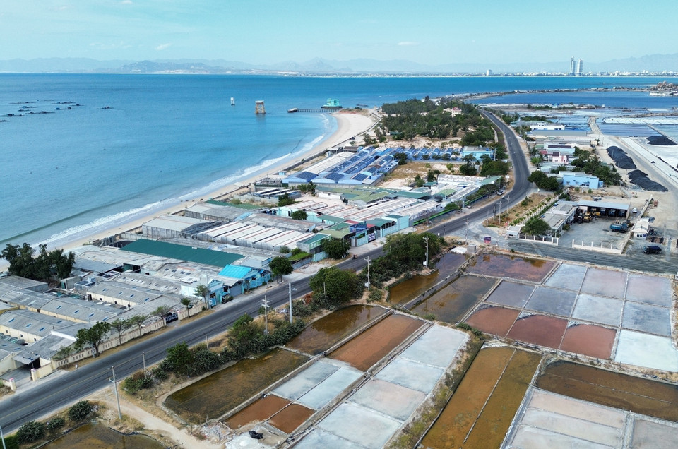 The section of Road DT702 passing through Ninh Hai district plays a crucial role in transportation connectivity, goods movement, and tourism development. (Photo: VNA)