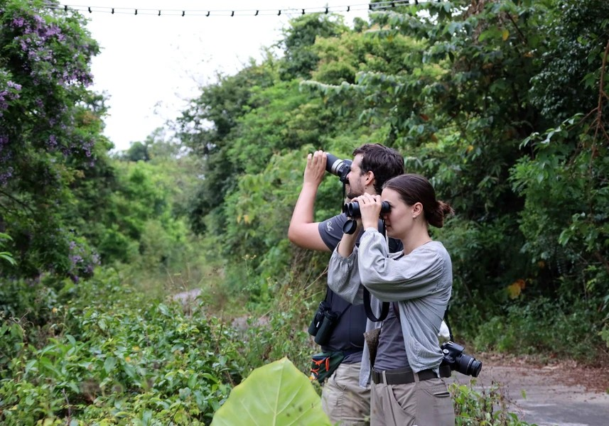 Foreign tourists admire and capture the charming beauty of the “than mat” flowers. (Photo: Vietnam+)