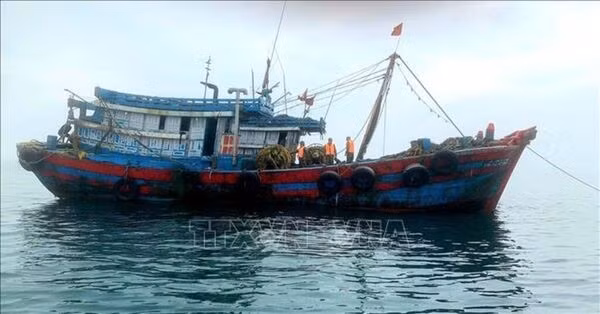 Can Tho launches the peak campaign against IUU fishing. (Photo: VNA)